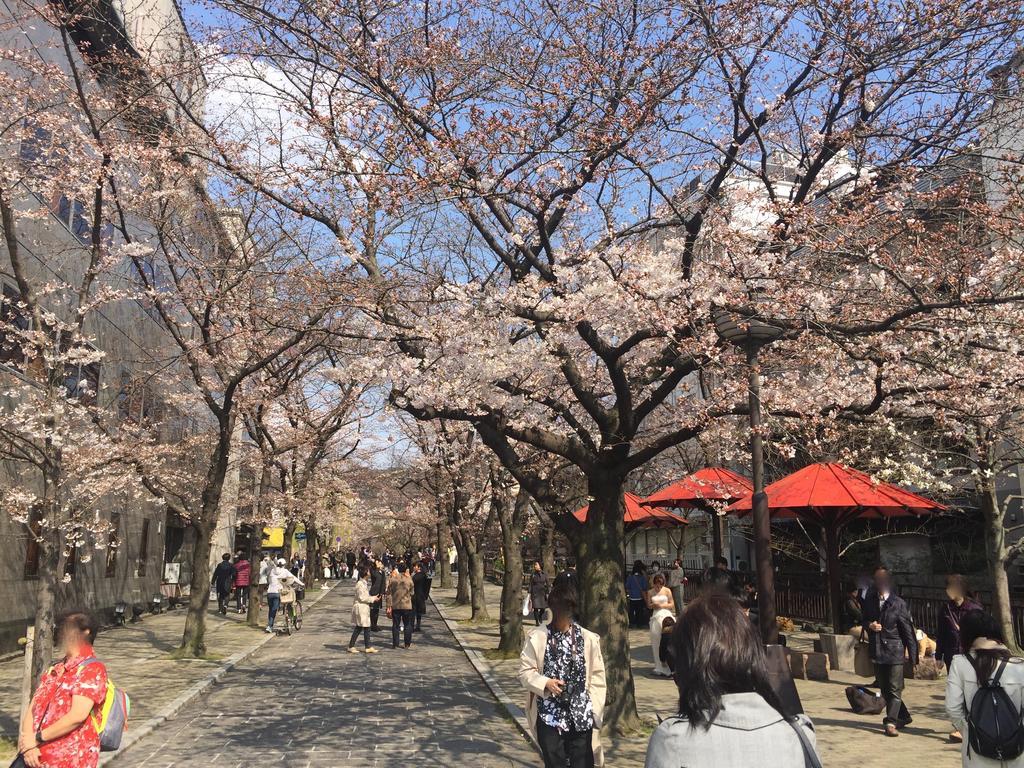 京都市 キョウマルヴィラ エクステリア 写真